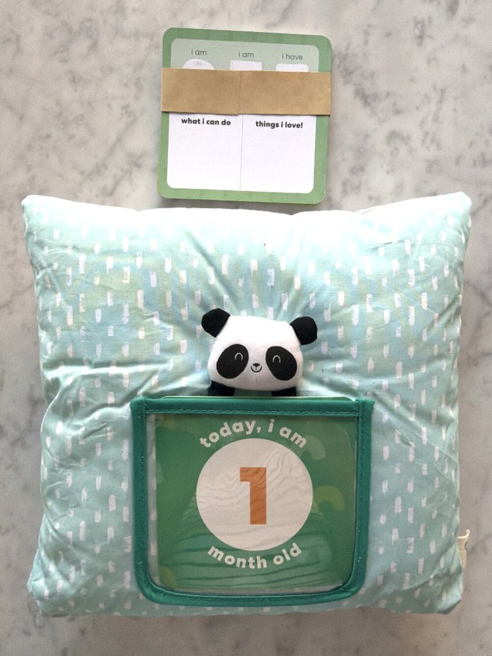 KiwiCo Panda Crate "Bond with Me" Milestone Cards (NWT)